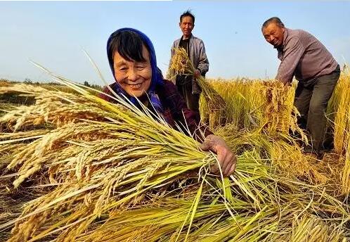 重磅！繼包產(chǎn)到戶之后，我國(guó)農(nóng)村又一次迎來重大改革