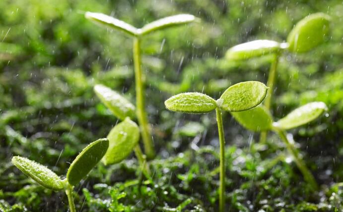 動態(tài) | 生物刺激劑多重效果大揭秘，可減少百萬噸氮肥的投入！